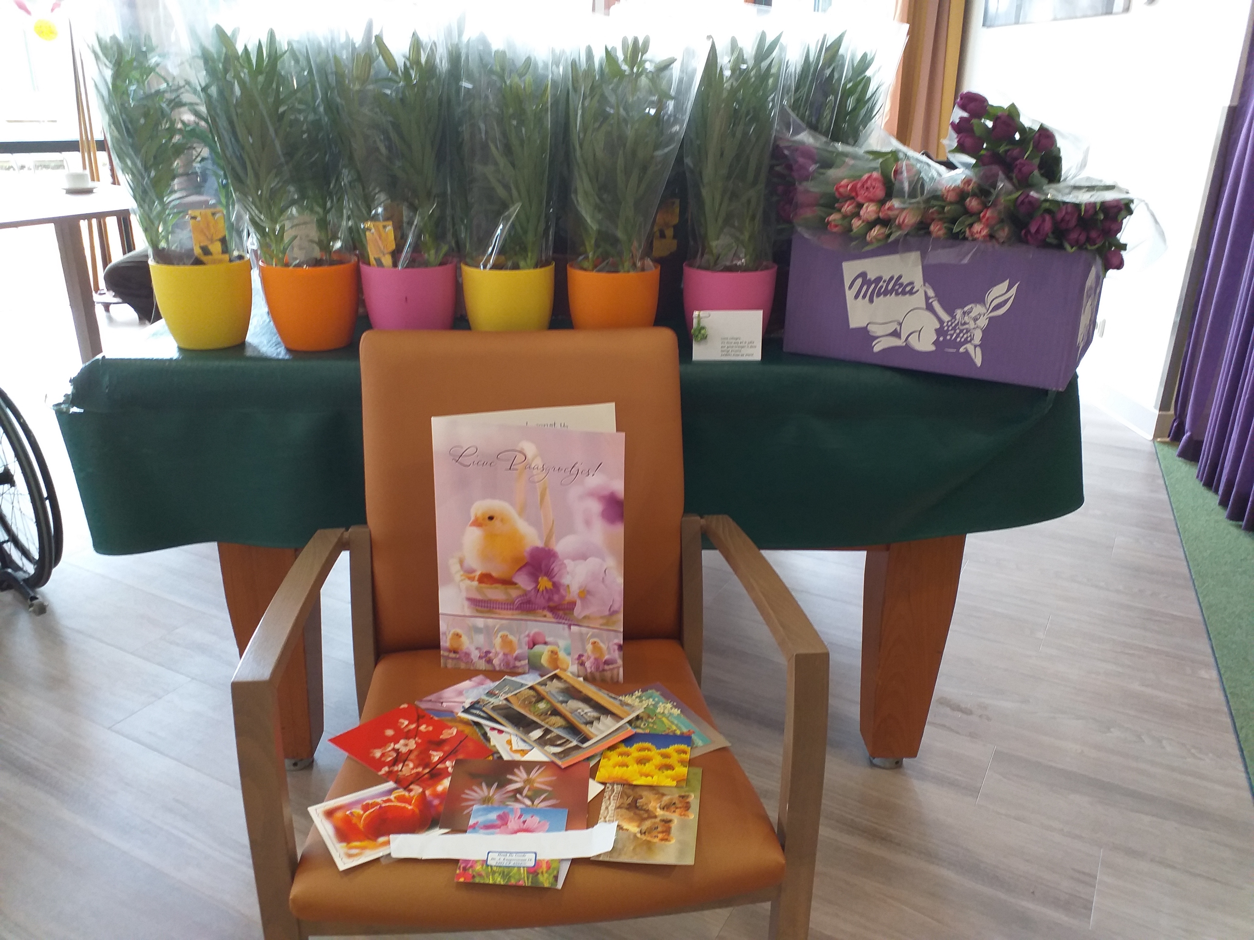 Hartverwarmende reacties op bolbloemen-actie Interzorg